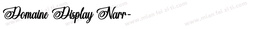Domaine Display Narr字体转换